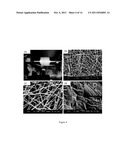 System and method for the release of nitric oxide using nanoscale media diagram and image