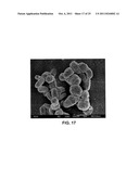 MESOPOROUS MATERIAL EXCIPIENTS FOR POORLY AQUEOUS SOLUBLE INGREDIENTS diagram and image