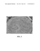 Cheese With Improved Organoleptic And Melting Properties diagram and image