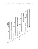 SALMONELLA DETECTION ASSAY diagram and image