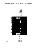 HERBICIDE TOLERANT COTTON PLANTS AND METHODS FOR IDENTIFYING SAME diagram and image