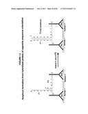 IMMUNO-AMPLIFICATION diagram and image