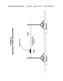 IMMUNO-AMPLIFICATION diagram and image