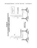 IMMUNO-AMPLIFICATION diagram and image