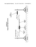 IMMUNO-AMPLIFICATION diagram and image