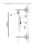 IMMUNO-AMPLIFICATION diagram and image