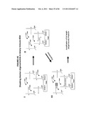 IMMUNO-AMPLIFICATION diagram and image