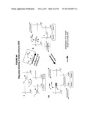 IMMUNO-AMPLIFICATION diagram and image