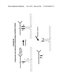 IMMUNO-AMPLIFICATION diagram and image