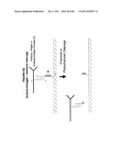 IMMUNO-AMPLIFICATION diagram and image