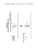 IMMUNO-AMPLIFICATION diagram and image