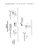 IMMUNO-AMPLIFICATION diagram and image