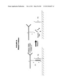 IMMUNO-AMPLIFICATION diagram and image