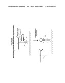 IMMUNO-AMPLIFICATION diagram and image