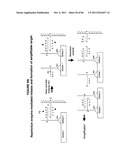 IMMUNO-AMPLIFICATION diagram and image