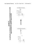 IMMUNO-AMPLIFICATION diagram and image