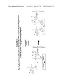 IMMUNO-AMPLIFICATION diagram and image