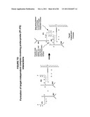 IMMUNO-AMPLIFICATION diagram and image