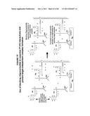 IMMUNO-AMPLIFICATION diagram and image