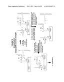 IMMUNO-AMPLIFICATION diagram and image