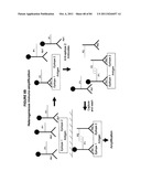 IMMUNO-AMPLIFICATION diagram and image