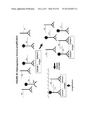 IMMUNO-AMPLIFICATION diagram and image