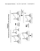 IMMUNO-AMPLIFICATION diagram and image