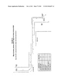 IMMUNO-AMPLIFICATION diagram and image