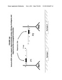 IMMUNO-AMPLIFICATION diagram and image