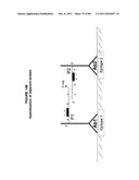 IMMUNO-AMPLIFICATION diagram and image