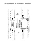 IMMUNO-AMPLIFICATION diagram and image