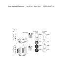 ANTIBODY-SECRETING CELL ASSAY diagram and image