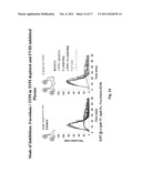 Methods and Compositions for Treating Bleeding Disorders diagram and image