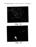 Plasmon Resonant Particles, Methods and Apparatus diagram and image