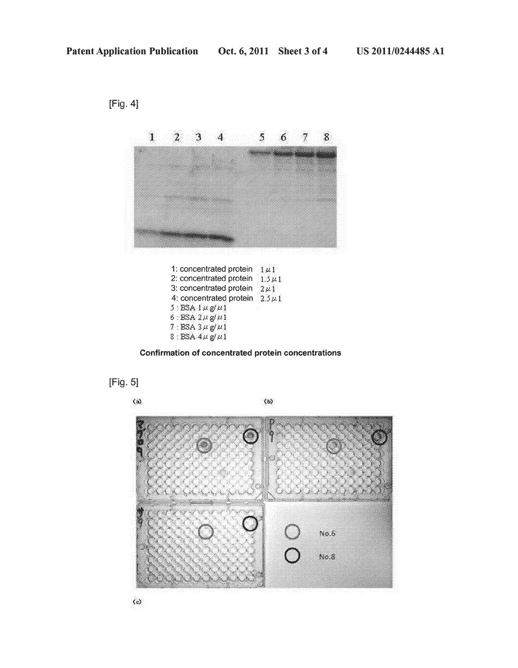 ANTI-TUNA VASA ANTIBODY - diagram, schematic, and image 04