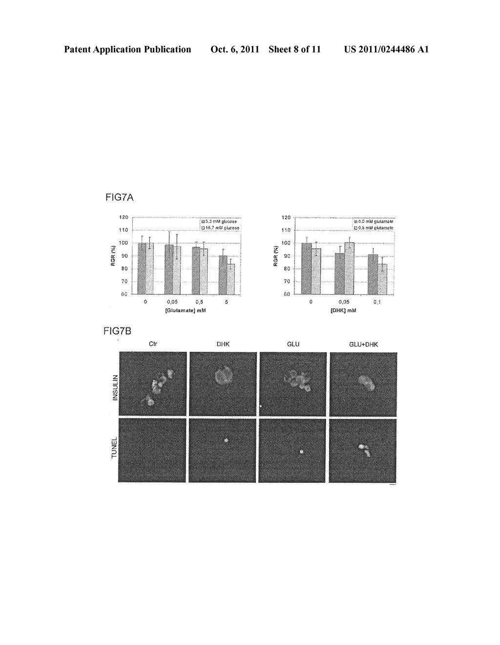 METHODS AND COMPOSITIONS FOR THE DIAGNOSIS AND TREATMENT OF DIABETES - diagram, schematic, and image 09