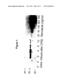 METHOD FOR THE EARLY DETECTION OF RENAL INJURY diagram and image