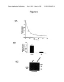 CELL-BASED  DETECTION OF APF THROUGH ITS INTERACTION WITH CKAP4 FOR     DIAGNOSIS OF INTERSTITIAL CYSTITIS diagram and image