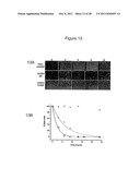 CELL-BASED  DETECTION OF APF THROUGH ITS INTERACTION WITH CKAP4 FOR     DIAGNOSIS OF INTERSTITIAL CYSTITIS diagram and image