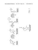 PENTOSE PHOSPHATE PATHWAY UPREGULATION TO INCREASE PRODUCTION OF     NON-NATIVE PRODUCTS OF INTEREST IN TRANSGENIC MICROORGANISMS diagram and image