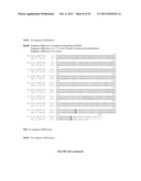 Compositions and Methods for Bacterial Production of Chondroitin diagram and image