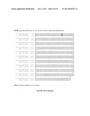 Compositions and Methods for Bacterial Production of Chondroitin diagram and image