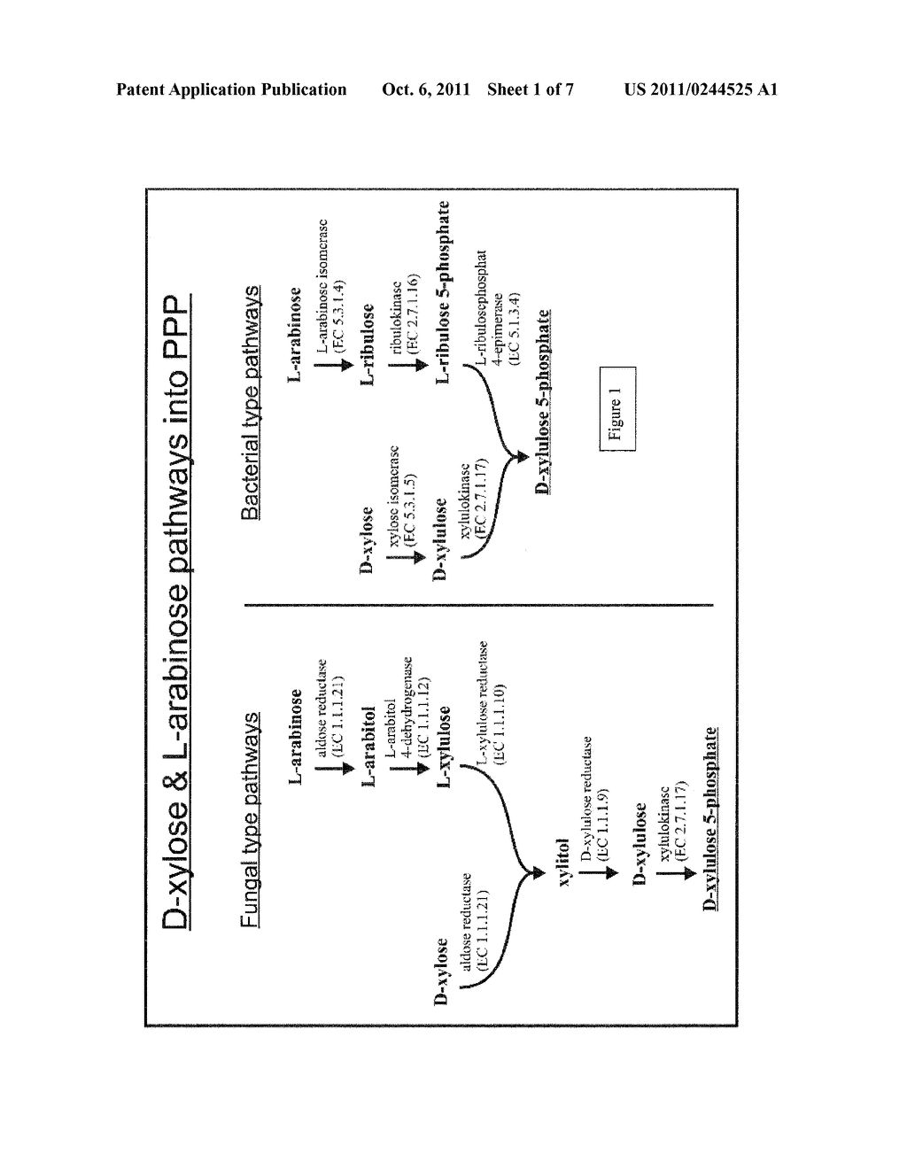 MICROORGANISM EXPRESSING XYLOSE ISOMERASE - diagram, schematic, and image 02