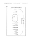 MICROORGANISM EXPRESSING XYLOSE ISOMERASE diagram and image