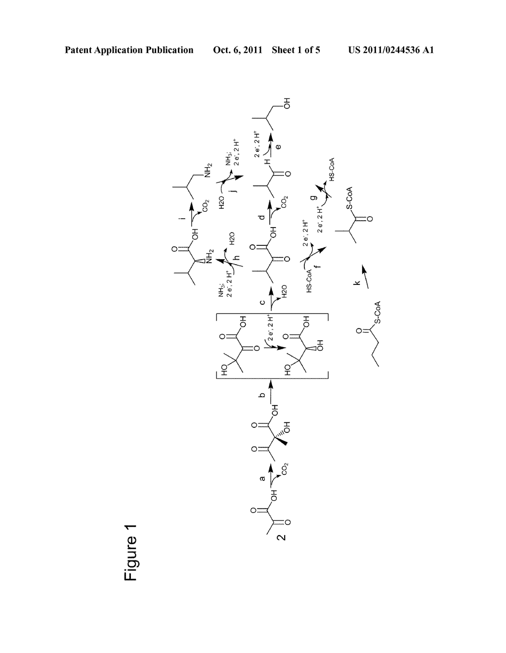 FERMENTIVE PRODUCTION OF ISOBUTANOL USING HIGHLY EFFECTIVE KETOL-ACID     REDUCTOISOMERASE ENZYMES - diagram, schematic, and image 02