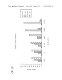 REGIO- AND ENANTIOSELECTIVE ALKANE HYDROXYLATION WITH MODIFIED CYTOCHROME     P450 diagram and image