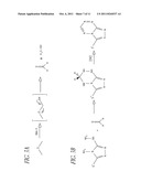 REGIO- AND ENANTIOSELECTIVE ALKANE HYDROXYLATION WITH MODIFIED CYTOCHROME     P450 diagram and image