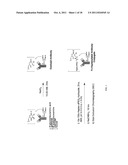 Polymeric carriers for immunohistochemistry and in situ hybridization diagram and image