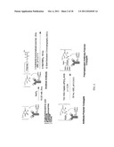 Polymeric carriers for immunohistochemistry and in situ hybridization diagram and image