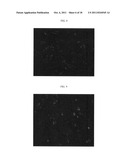 Polymeric carriers for immunohistochemistry and in situ hybridization diagram and image